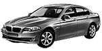 BMW F10 P025C Fault Code